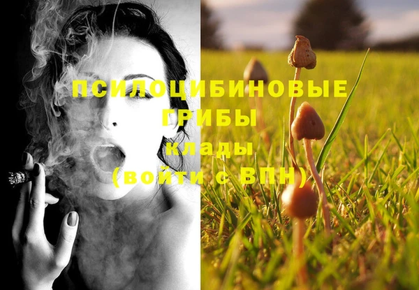 соль ск Анива