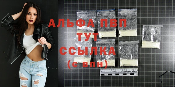 гашик Гусев