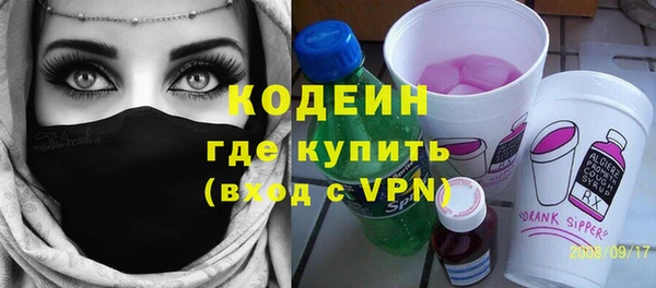 гашик Тында