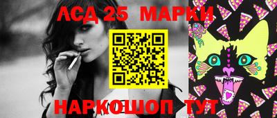 шишки Заволжье