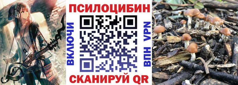 купить наркотик  Майский  Псилоцибиновые грибы Cubensis 