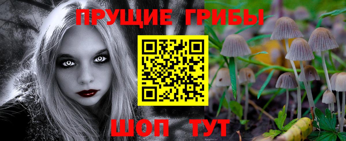 Псилоцибиновые грибы Magic Shrooms  наркота  Майский  Псилоцибиновые грибы MAGIC MUSHROOMS  Вход с VPN 