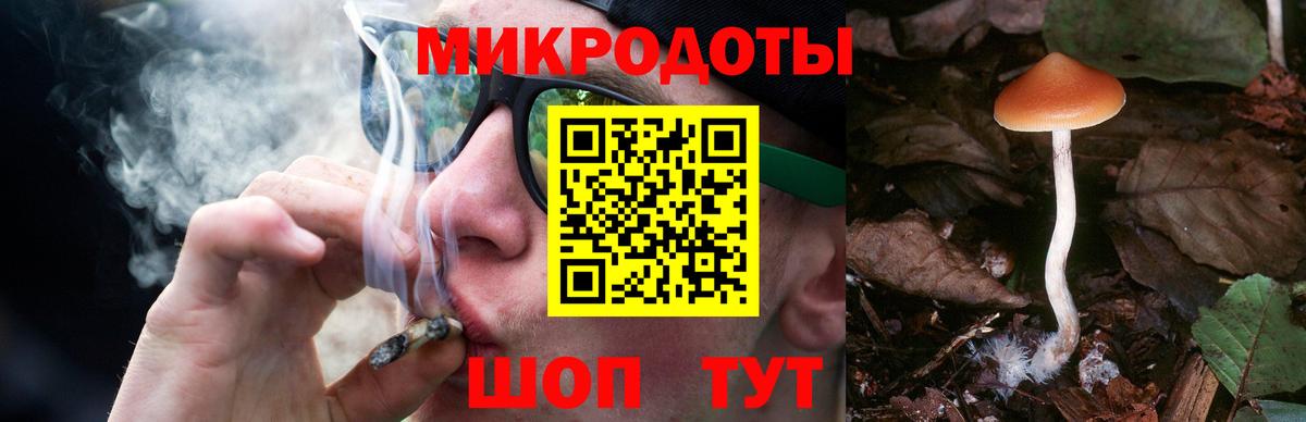 Галлюциногенные грибы GOLDEN TEACHER Майский