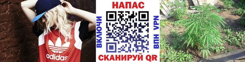 Бошки Шишки марихуана  сколько стоит  Майский 